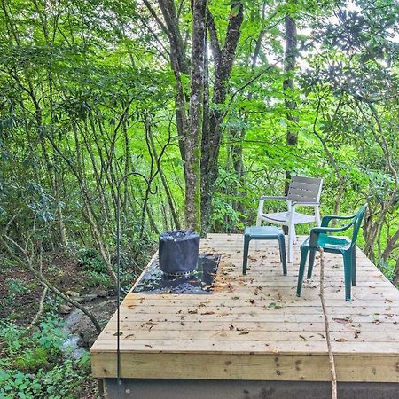 Peaceful Spruce Pine Cabin On 8 Acres With 2 Decks! Eksteriør billede