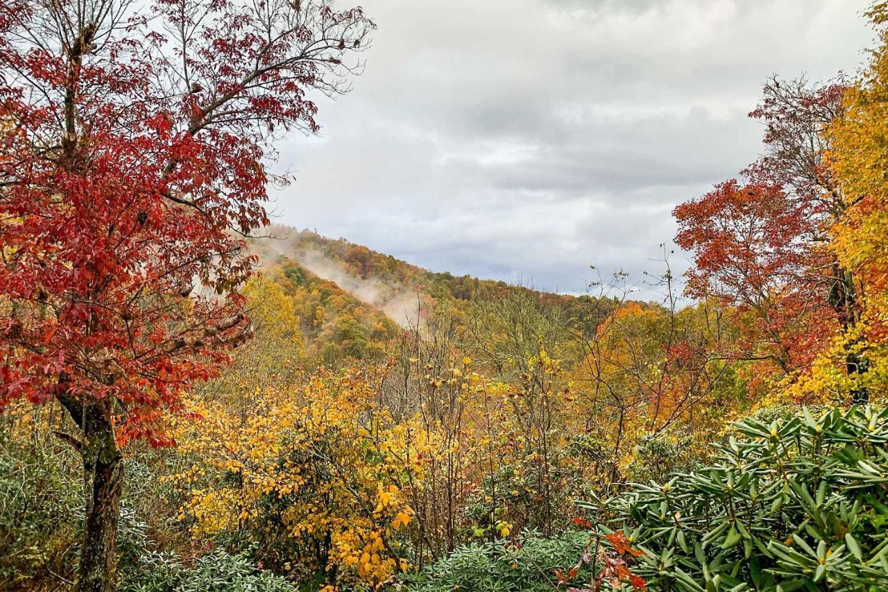 Peaceful Spruce Pine Cabin On 8 Acres With 2 Decks! Eksteriør billede